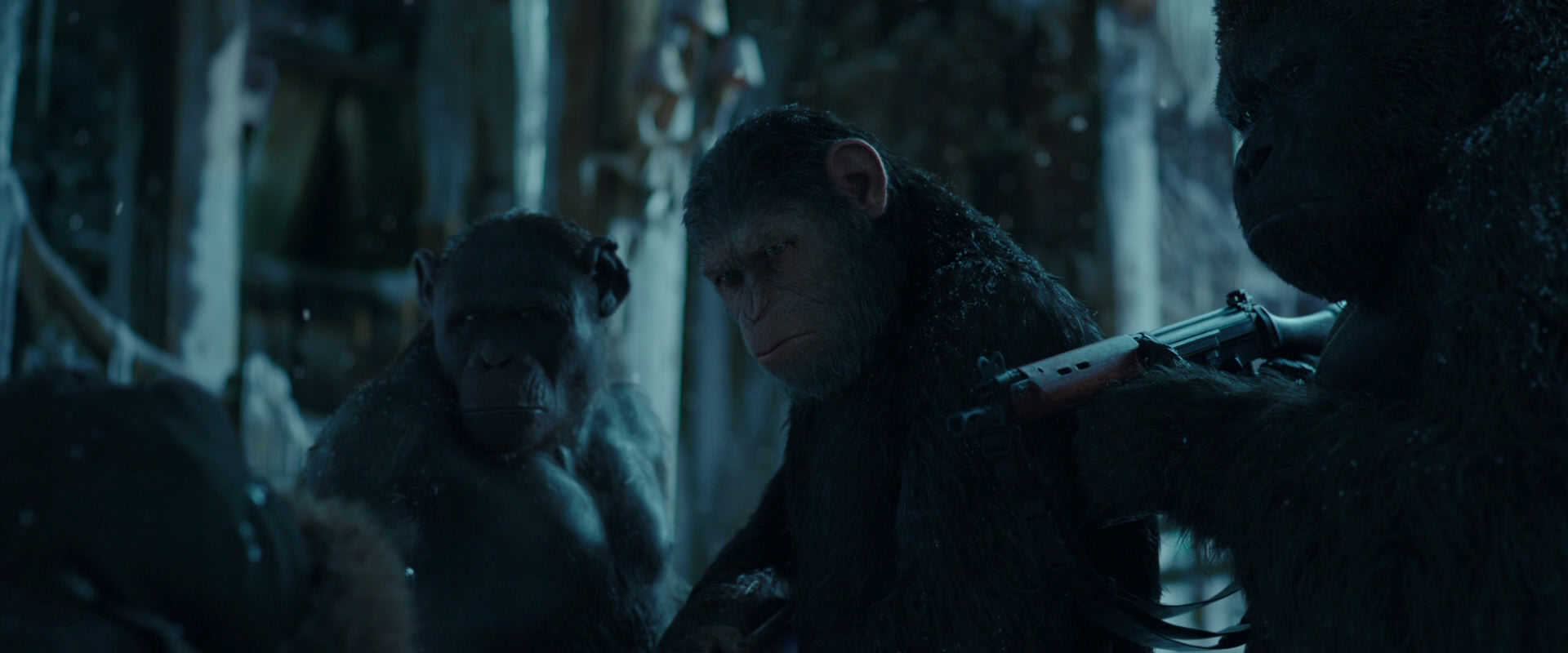 War for the Planet of the Apes (2017) movie still 5473