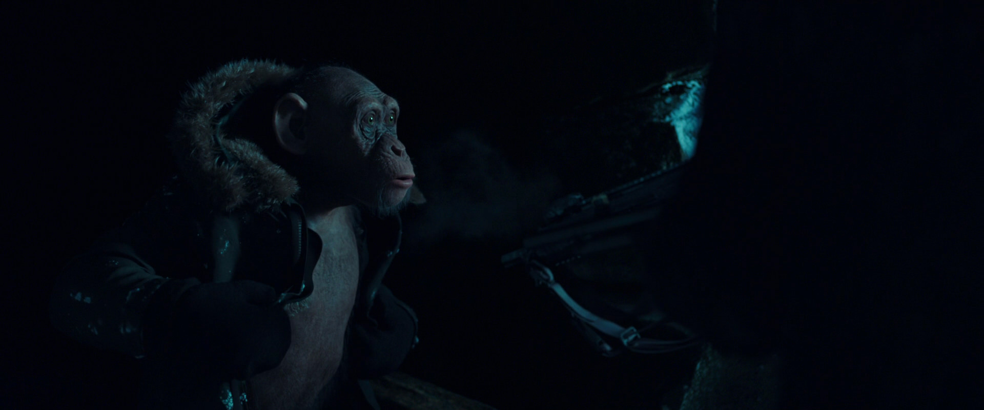 War for the Planet of the Apes (2017) screencap 5475