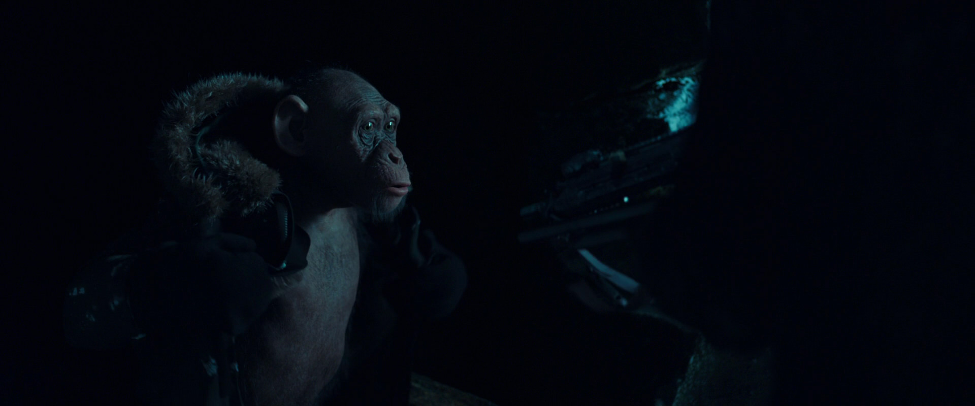 War for the Planet of the Apes (2017) movie still 5476