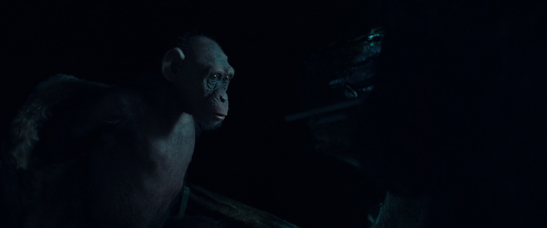 War for the Planet of the Apes (2017) HD screenshot 5480