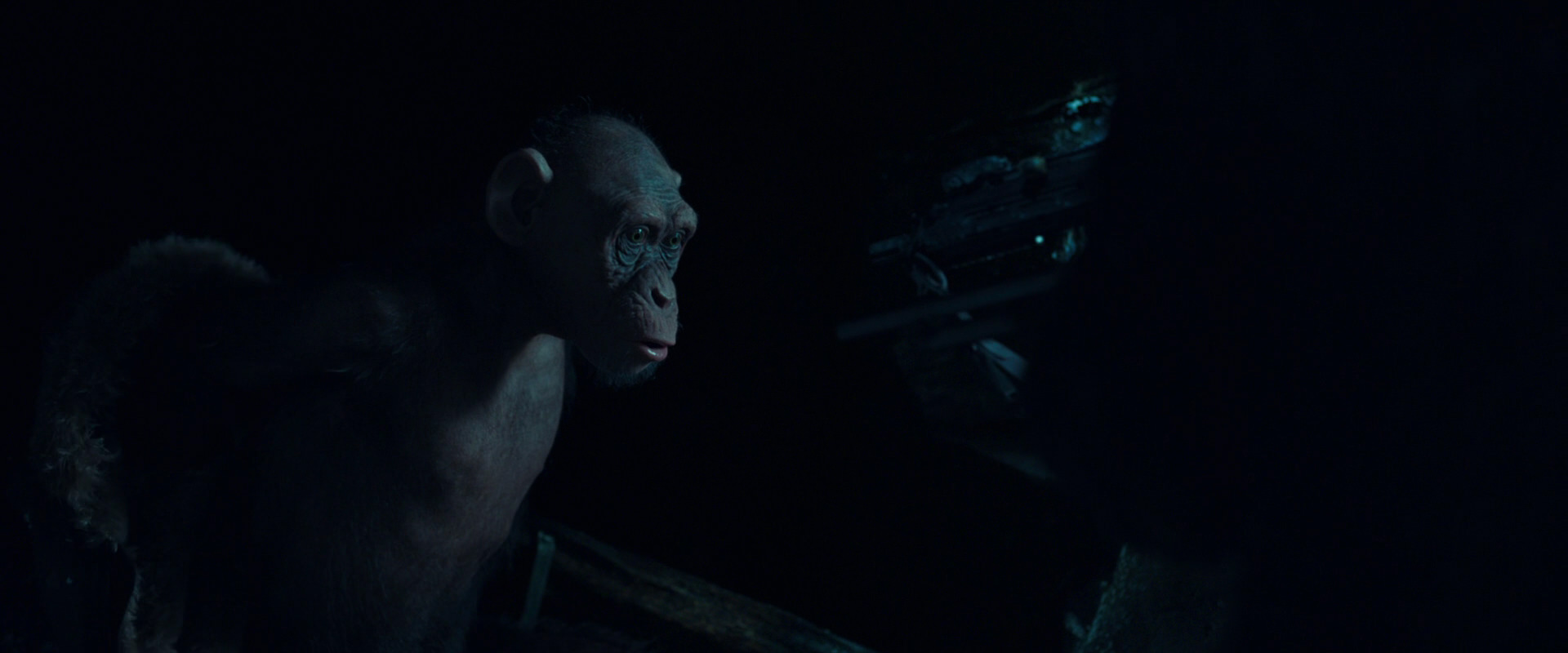 War for the Planet of the Apes (2017) screencap 5481