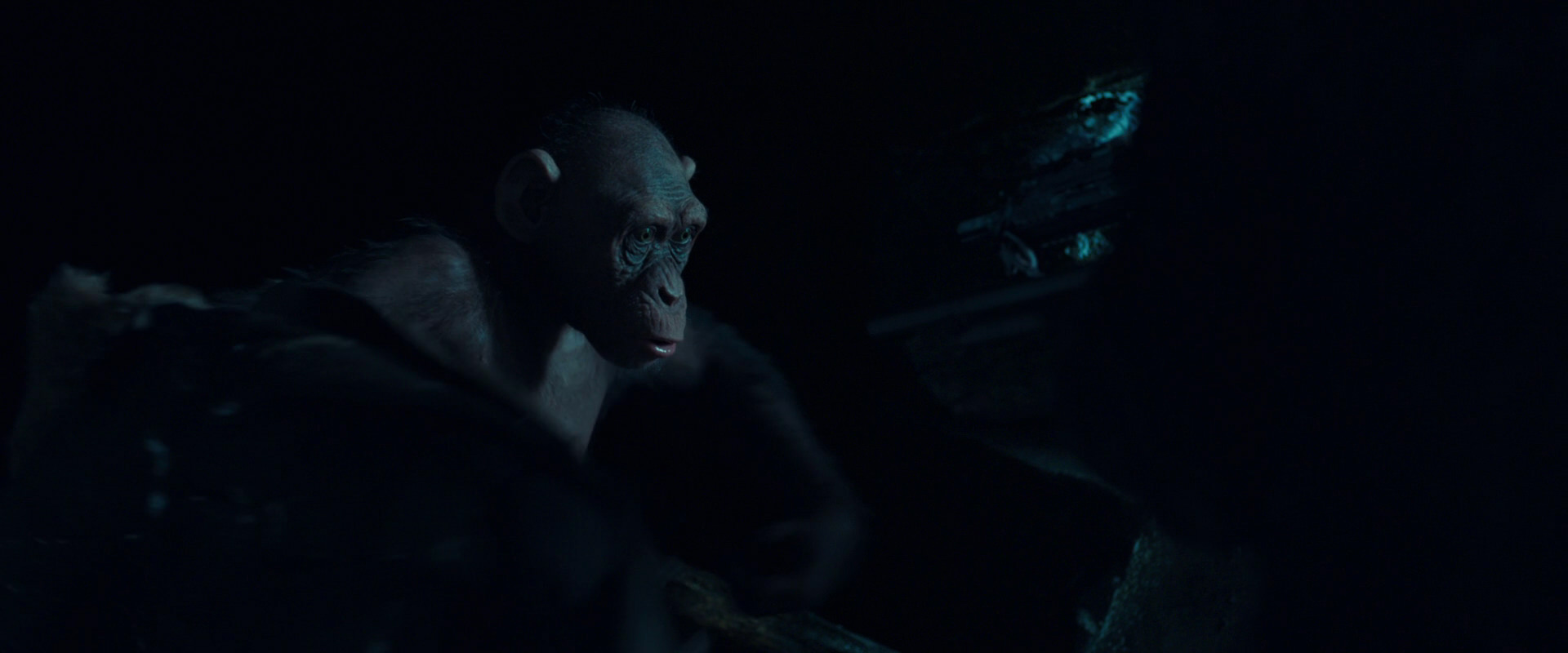 War for the Planet of the Apes (2017) screencap 5484