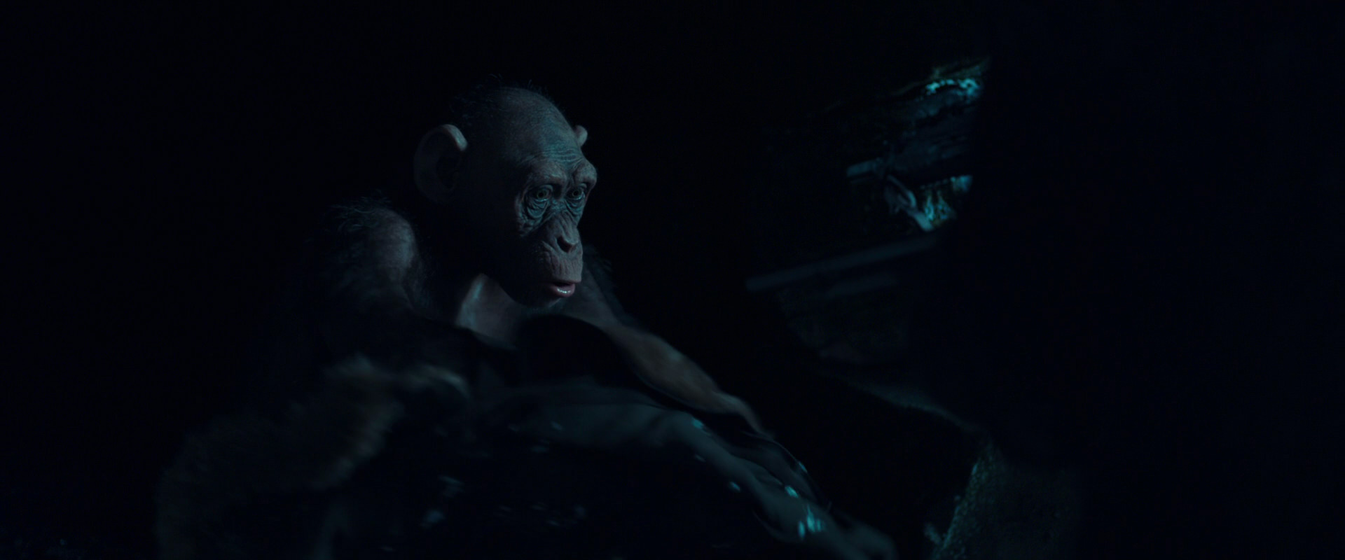 War for the Planet of the Apes (2017) movie still 5485