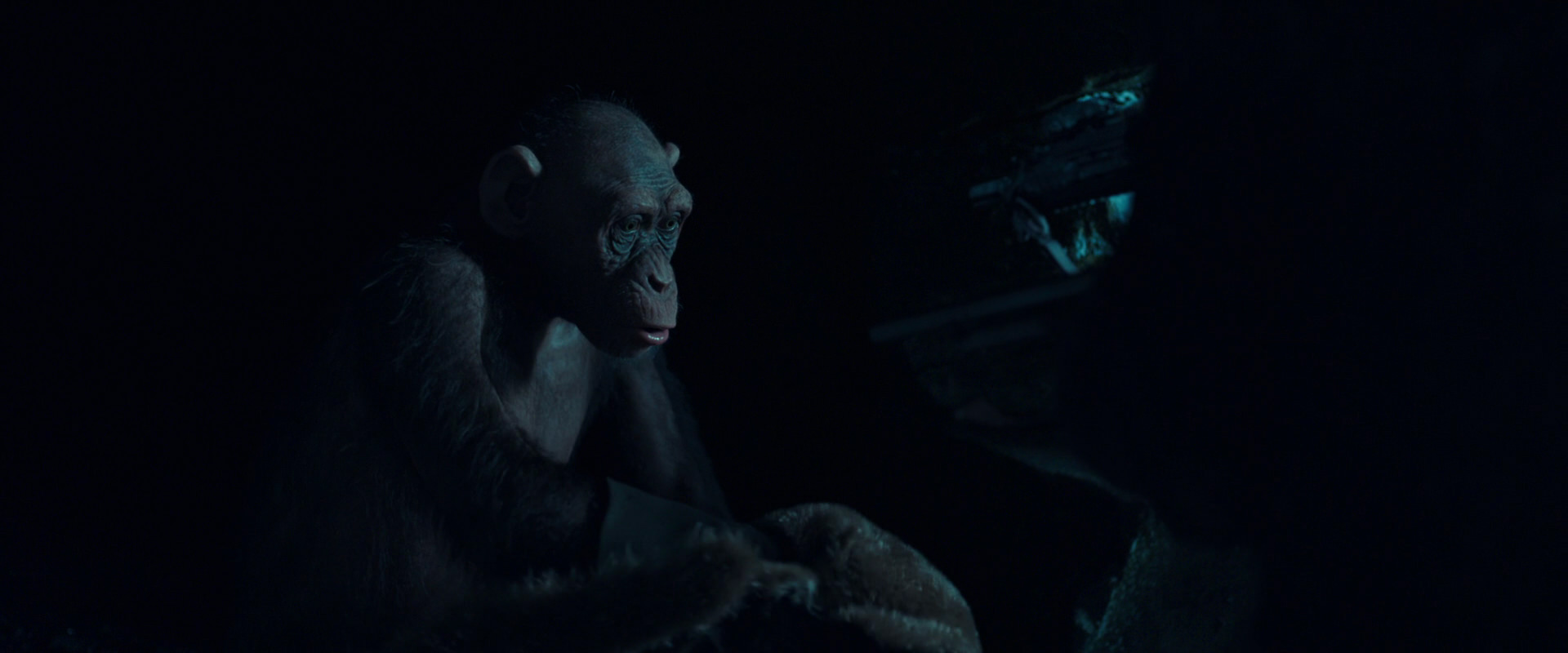 War for the Planet of the Apes (2017) HD screenshot 5486