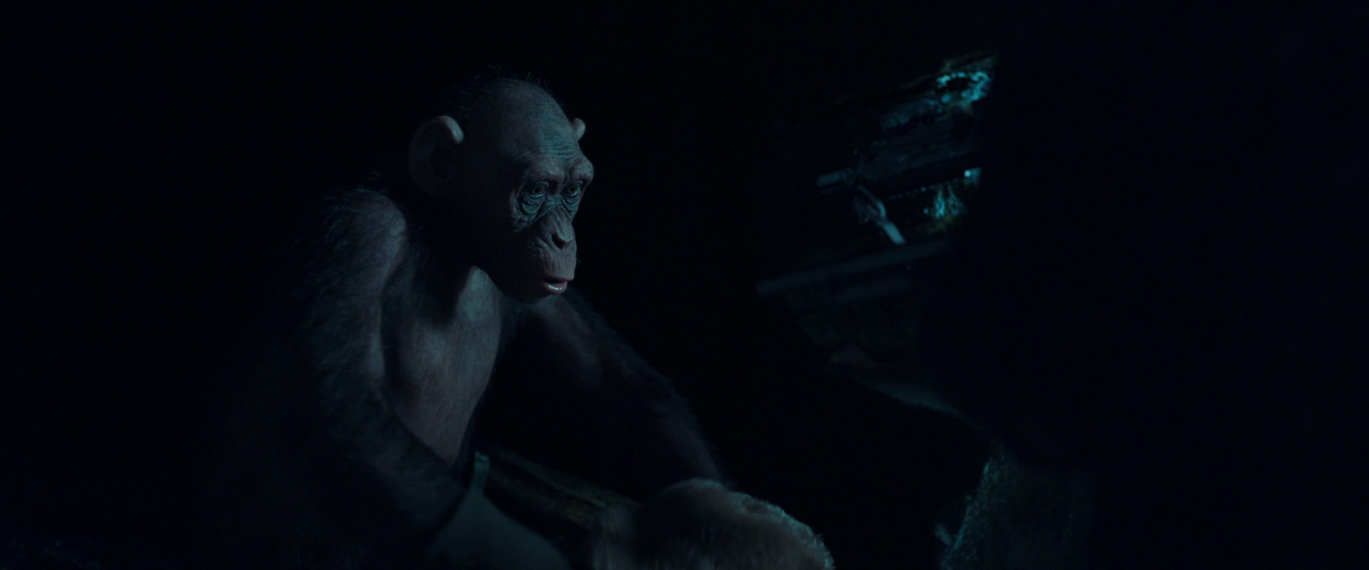 War for the Planet of the Apes (2017) screencap 5487