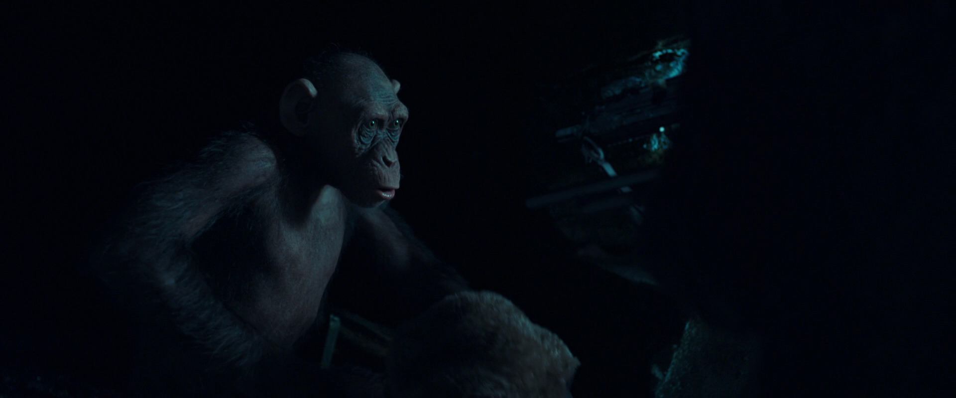 War for the Planet of the Apes (2017) movie still 5488