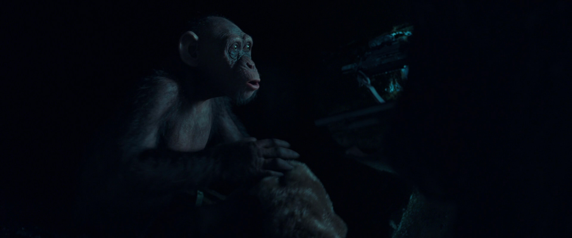 War for the Planet of the Apes (2017) screencap 5490