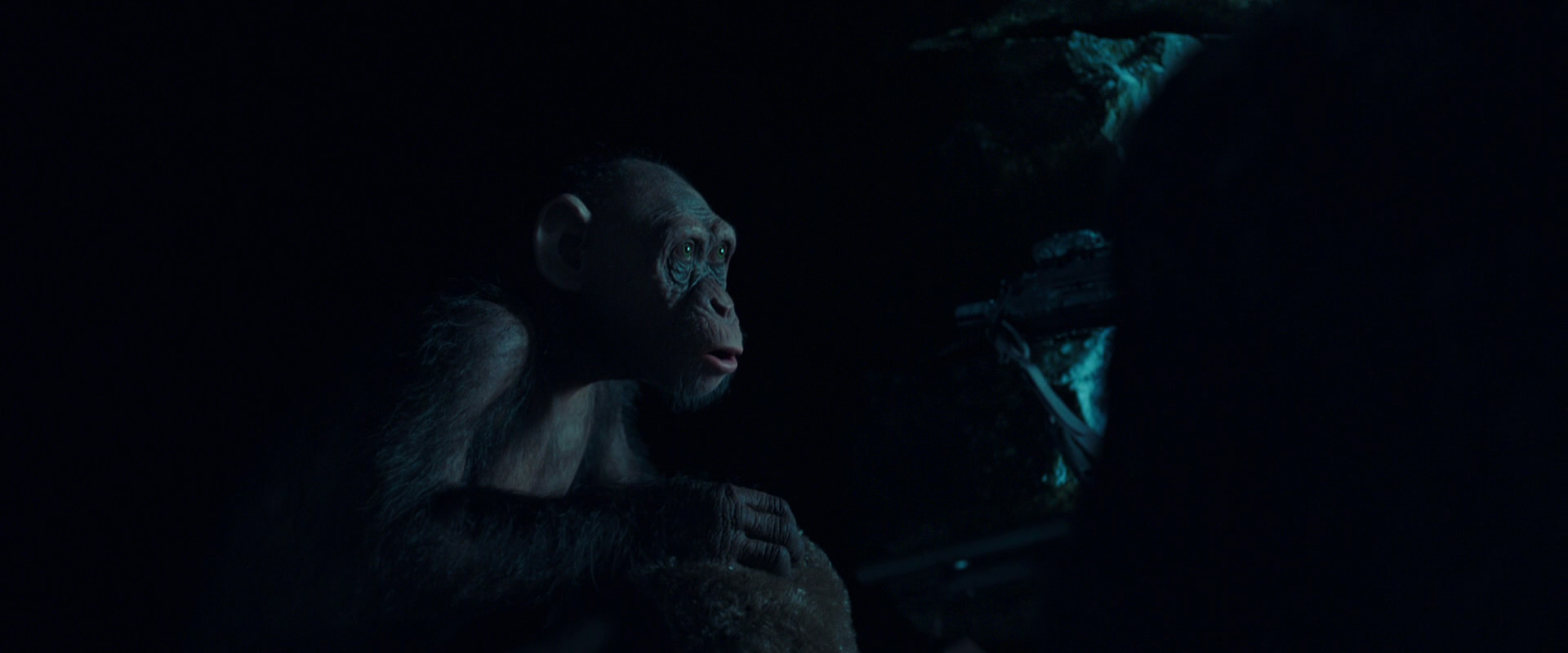 War for the Planet of the Apes (2017) screencap 5493