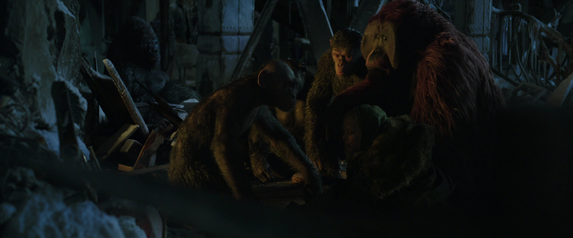 War for the Planet of the Apes (2017) movie still 5533