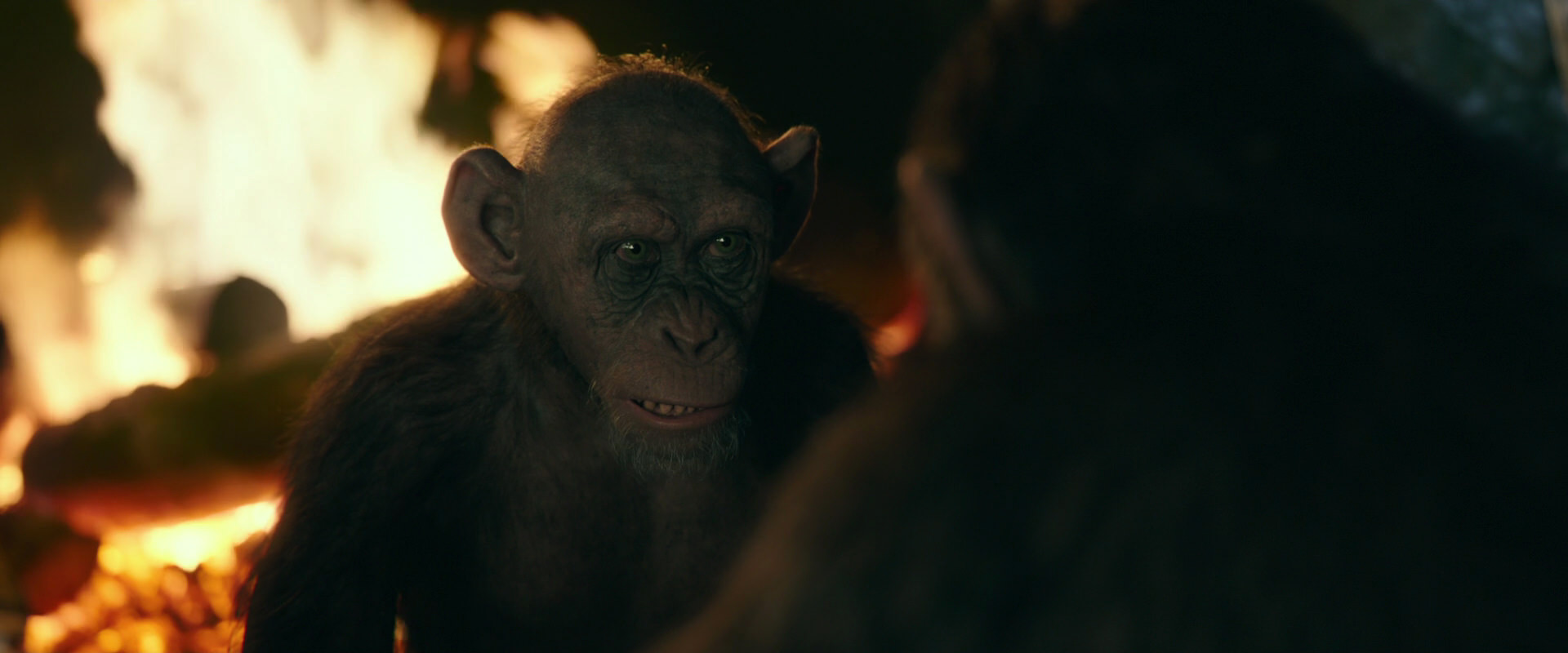 War for the Planet of the Apes (2017) movie still 5539