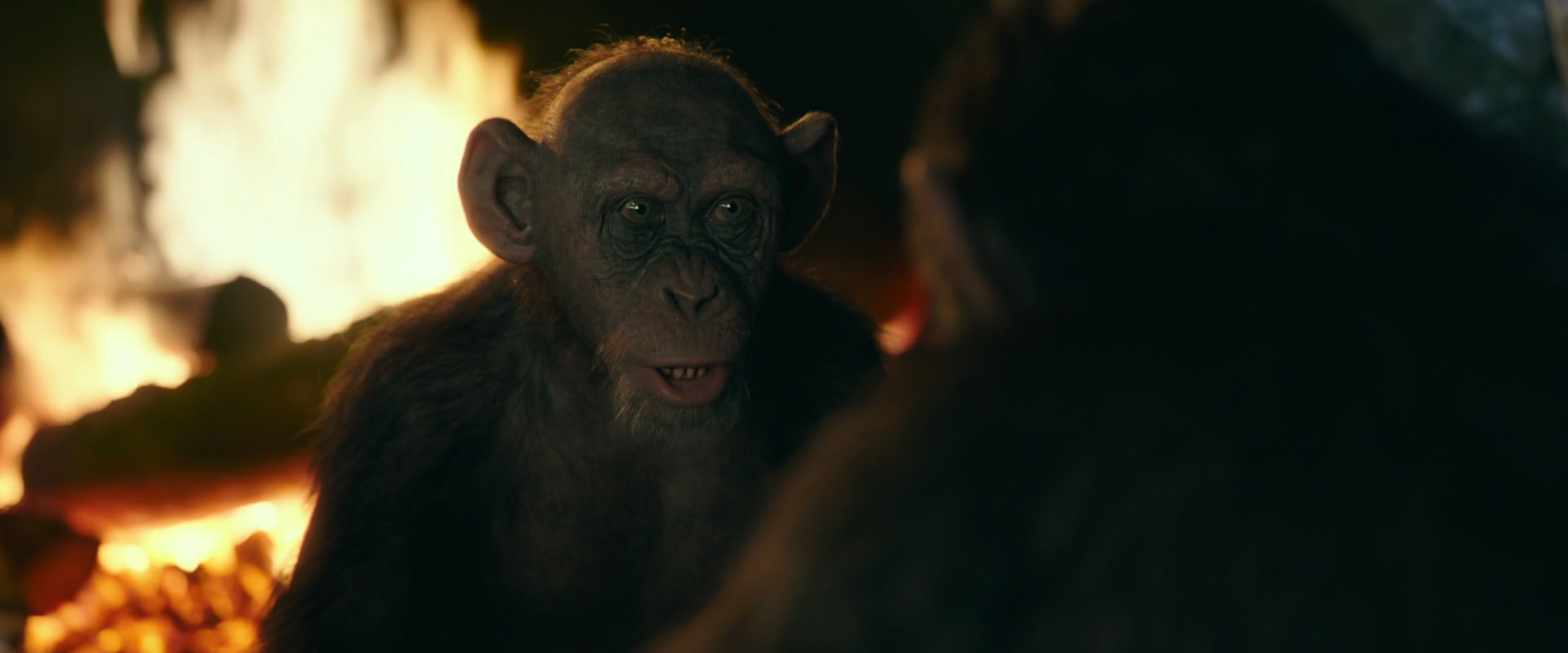 War for the Planet of the Apes (2017) HD screenshot 5540
