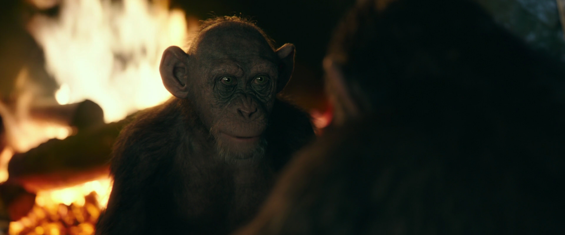 War for the Planet of the Apes (2017) screencap 5541