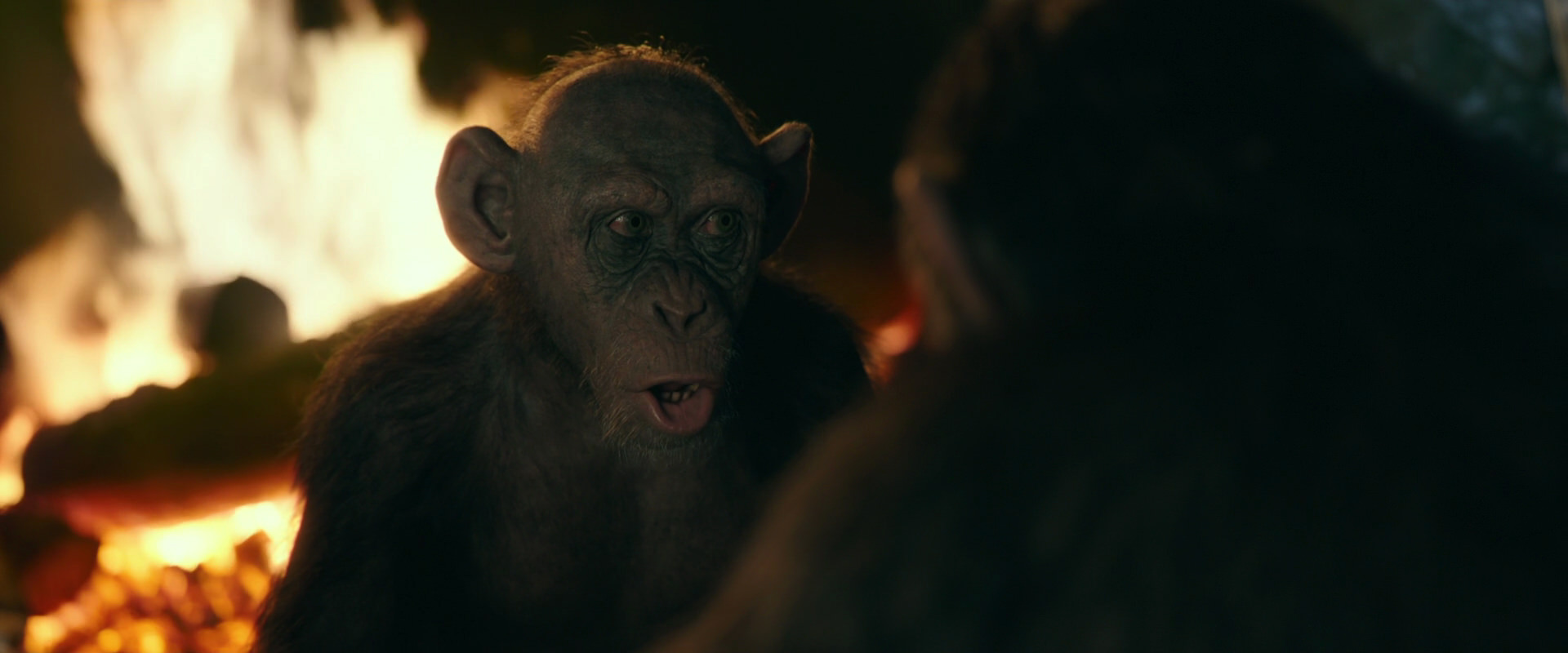 War for the Planet of the Apes (2017) movie still 5542