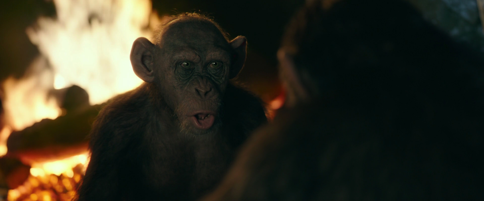 War for the Planet of the Apes (2017) HD screenshot 5543