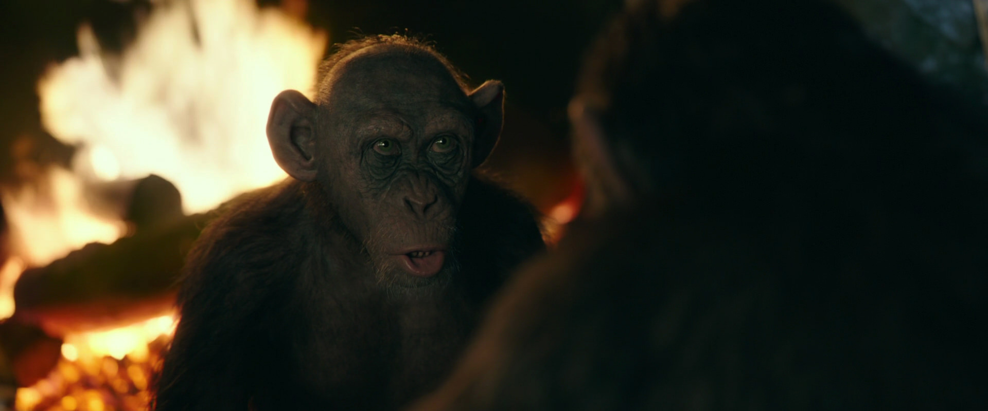 War for the Planet of the Apes (2017) screencap 5544