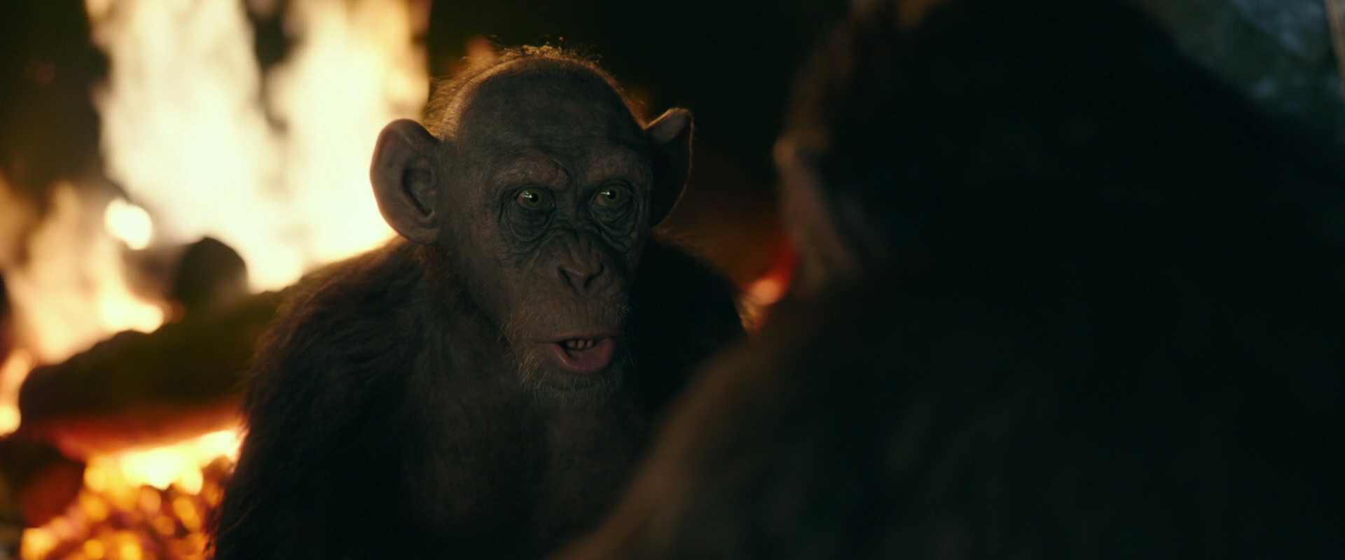 War for the Planet of the Apes (2017) movie still 5545