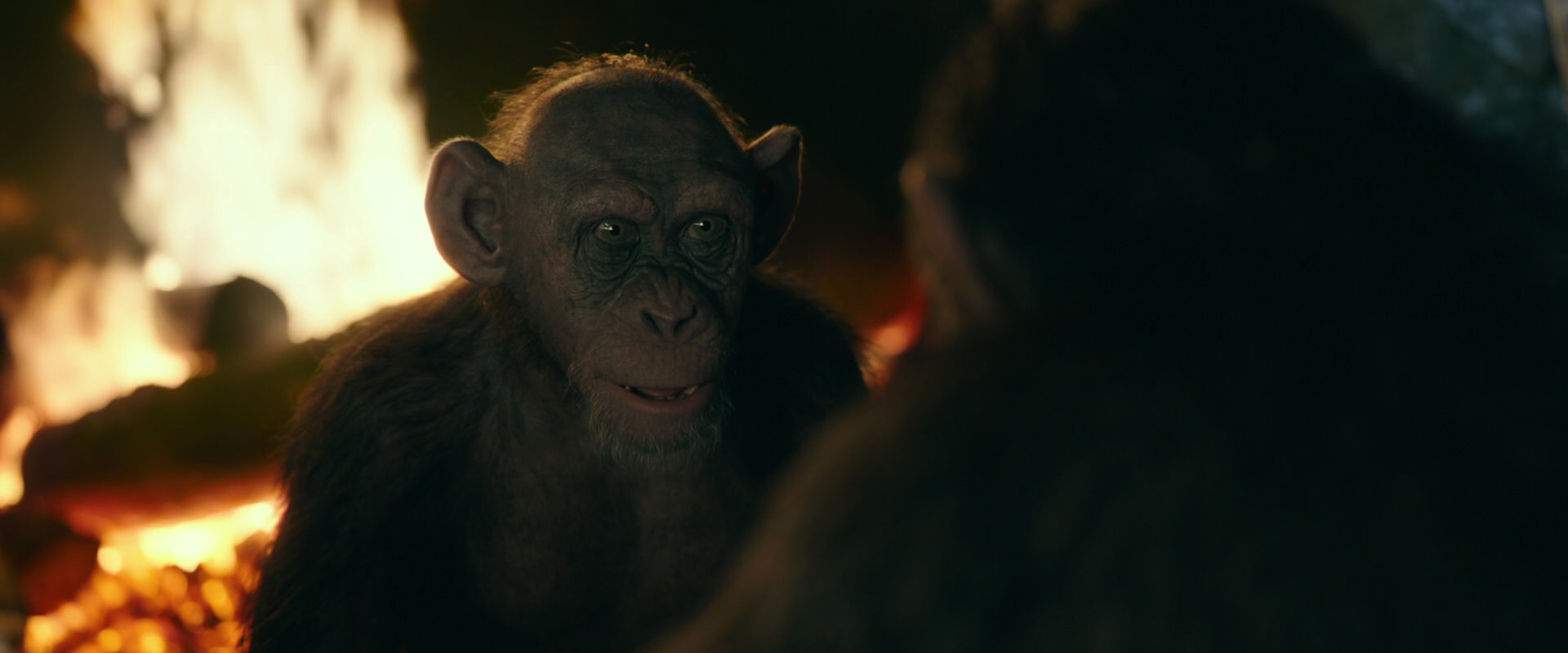 War for the Planet of the Apes (2017) HD screenshot 5546