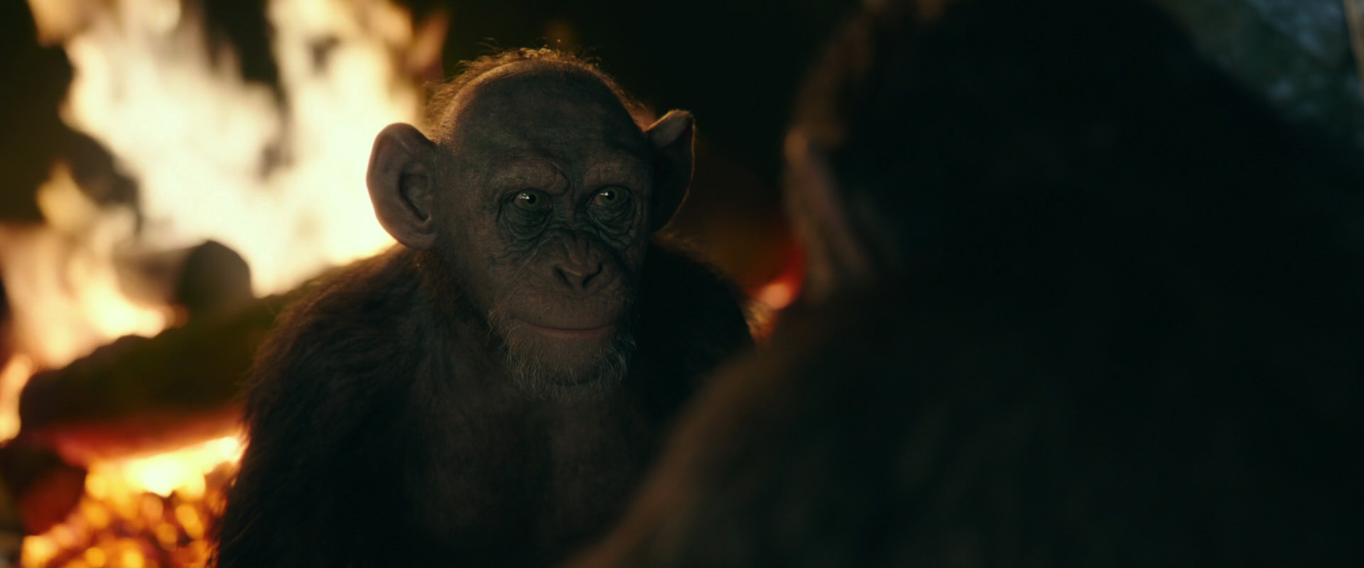 War for the Planet of the Apes (2017) screencap 5547