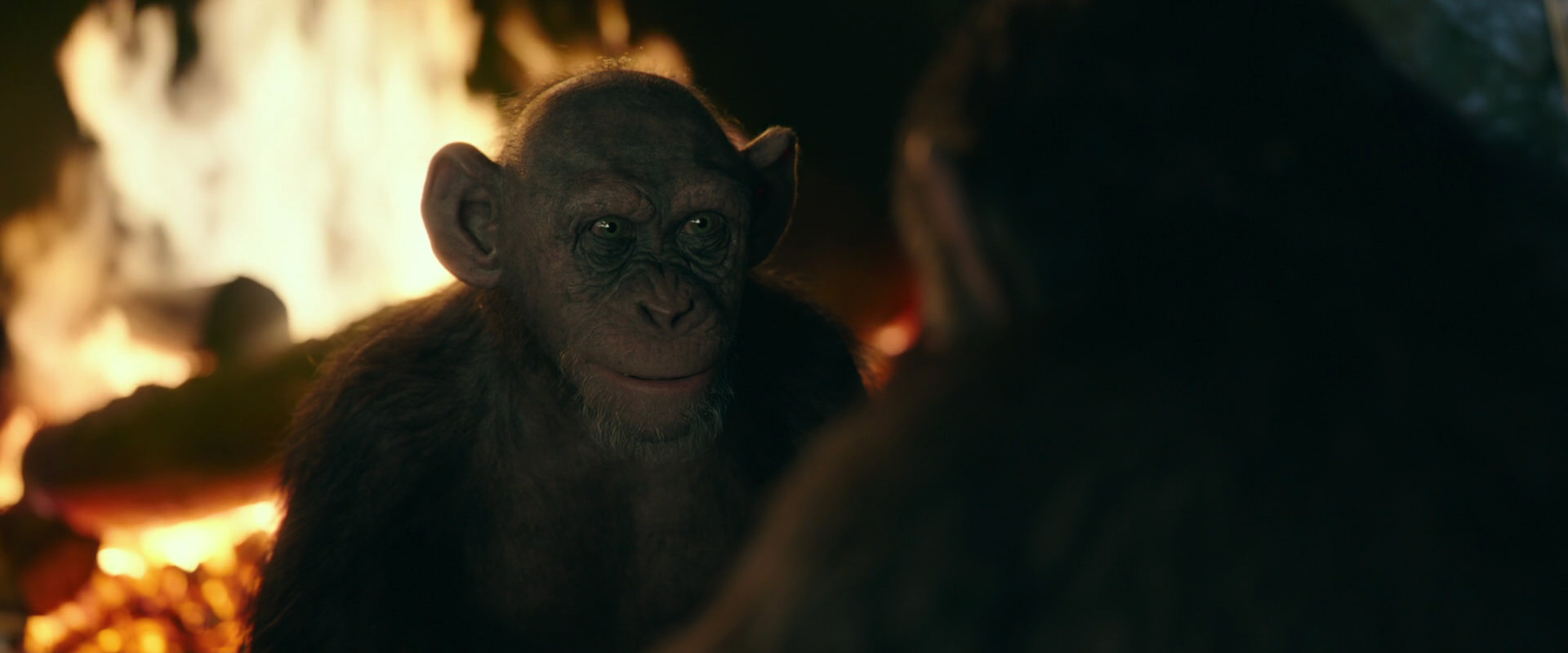 War for the Planet of the Apes (2017) movie still 5548