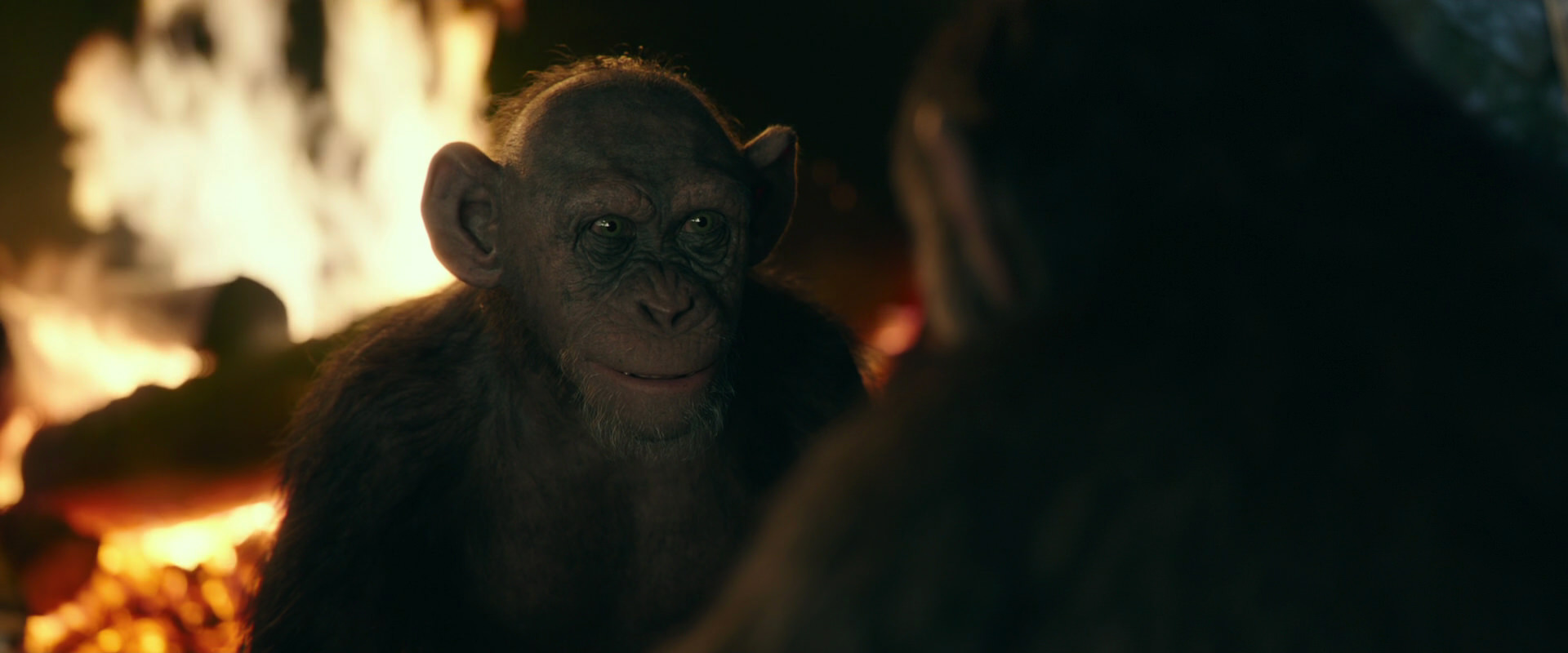 War for the Planet of the Apes (2017) HD screenshot 5549