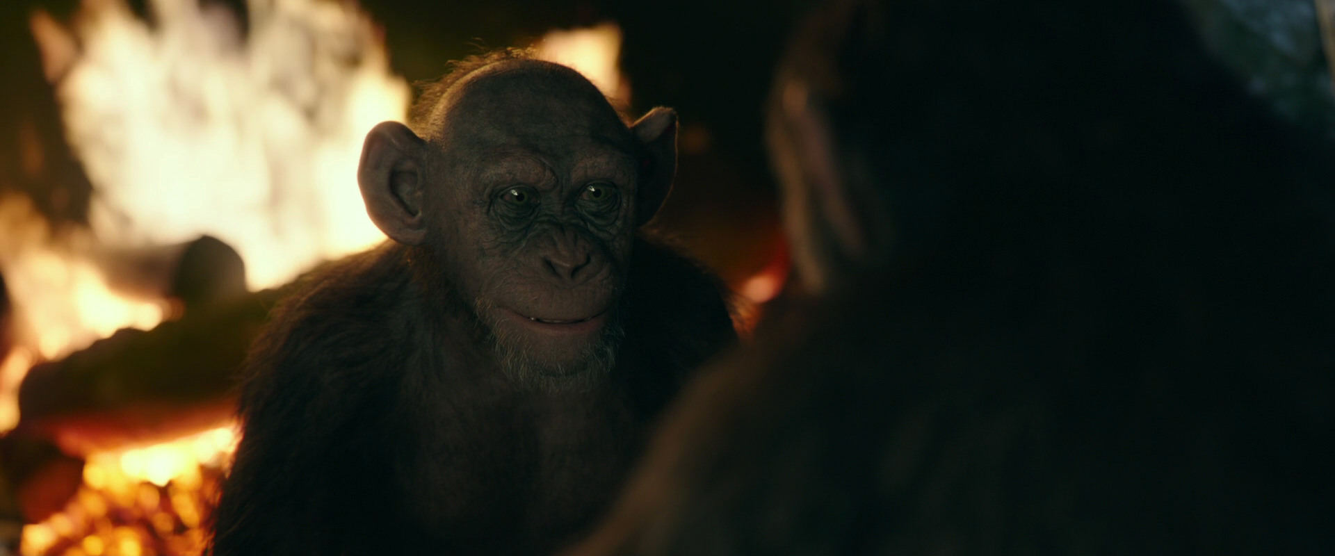 War for the Planet of the Apes (2017) screencap 5550