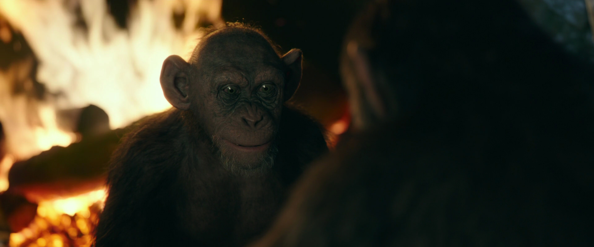War for the Planet of the Apes (2017) movie still 5551