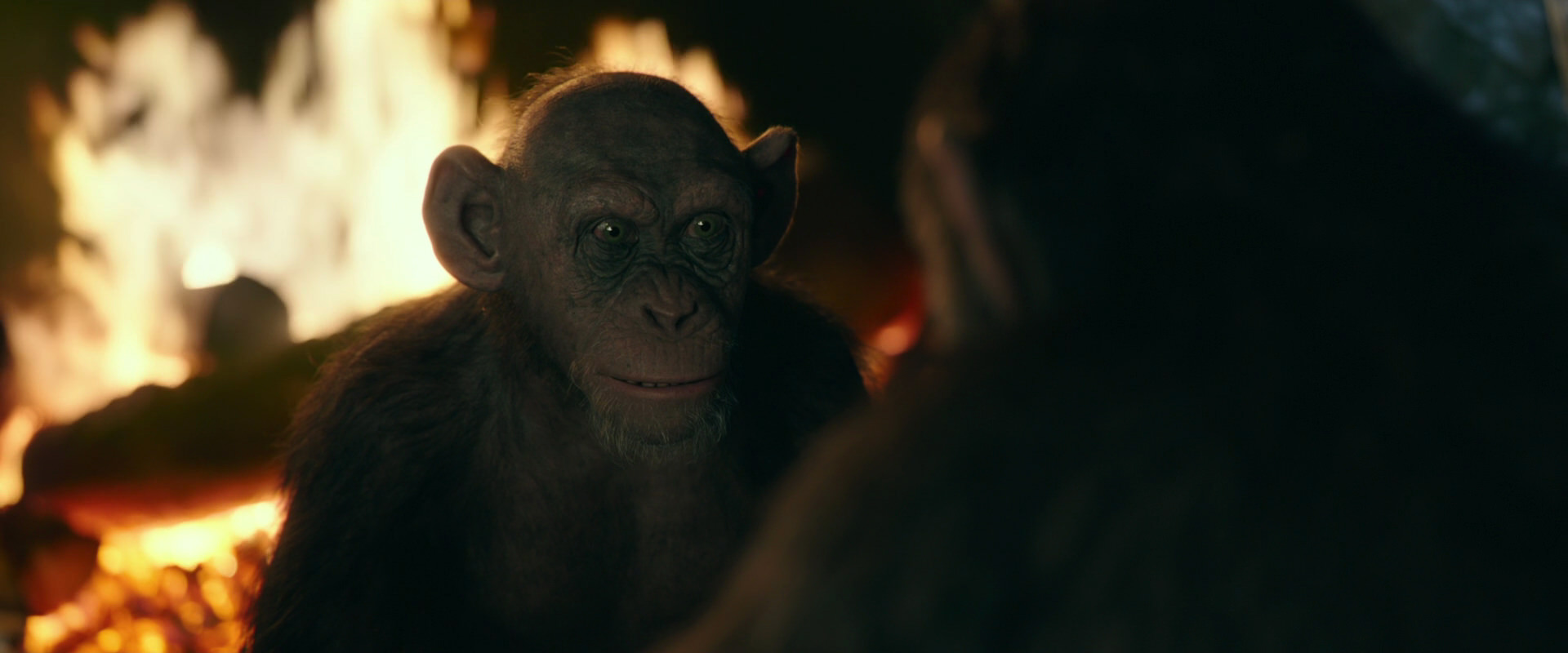 War for the Planet of the Apes (2017) HD screenshot 5552