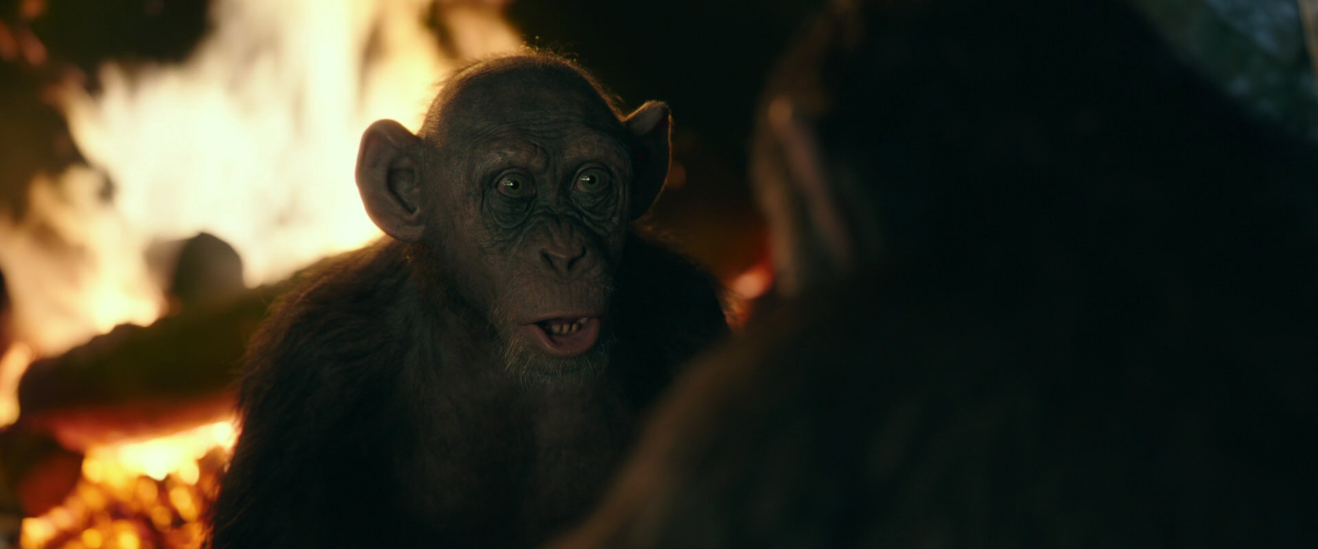 War for the Planet of the Apes (2017) screencap 5553