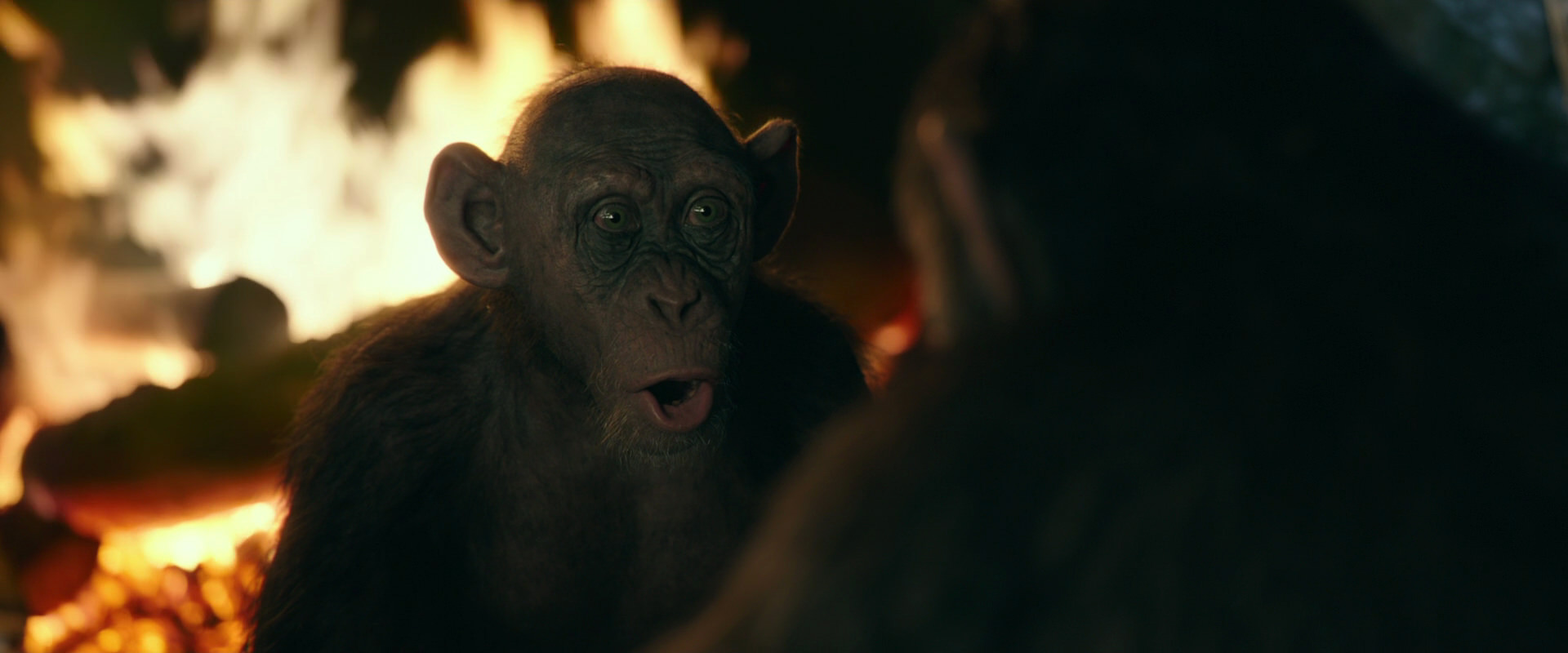 War for the Planet of the Apes (2017) movie still 5554
