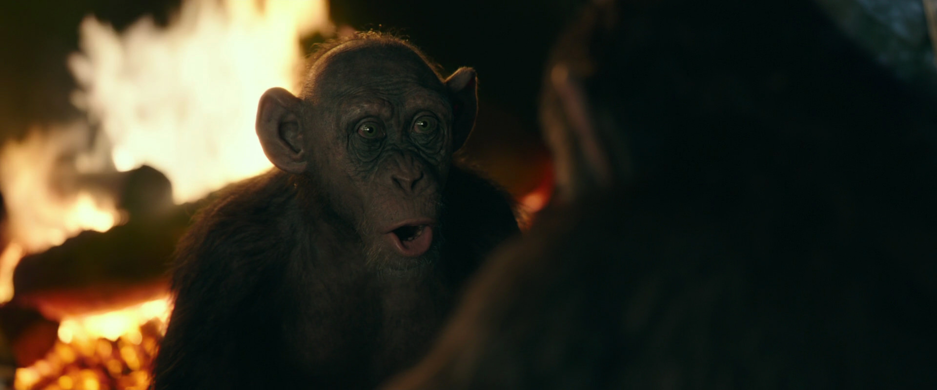 War for the Planet of the Apes (2017) HD screenshot 5555