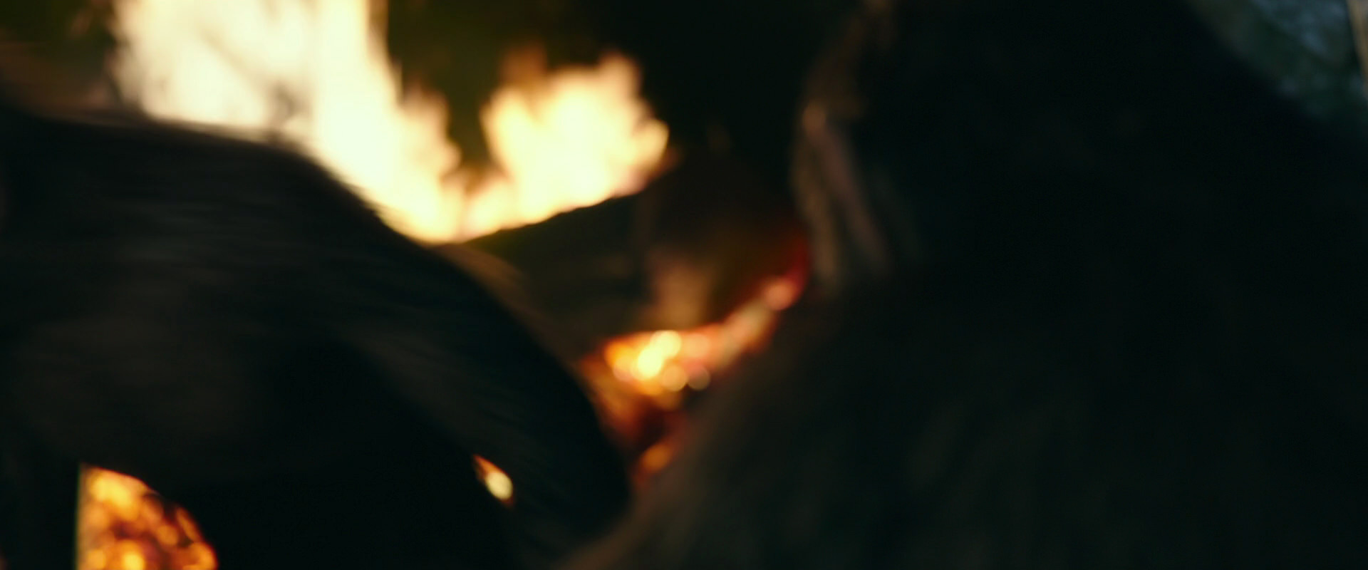 War for the Planet of the Apes (2017) screencap 5556