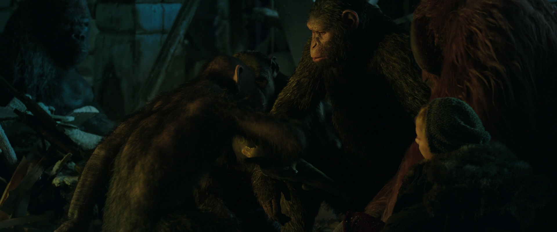 War for the Planet of the Apes (2017) screencap 5568