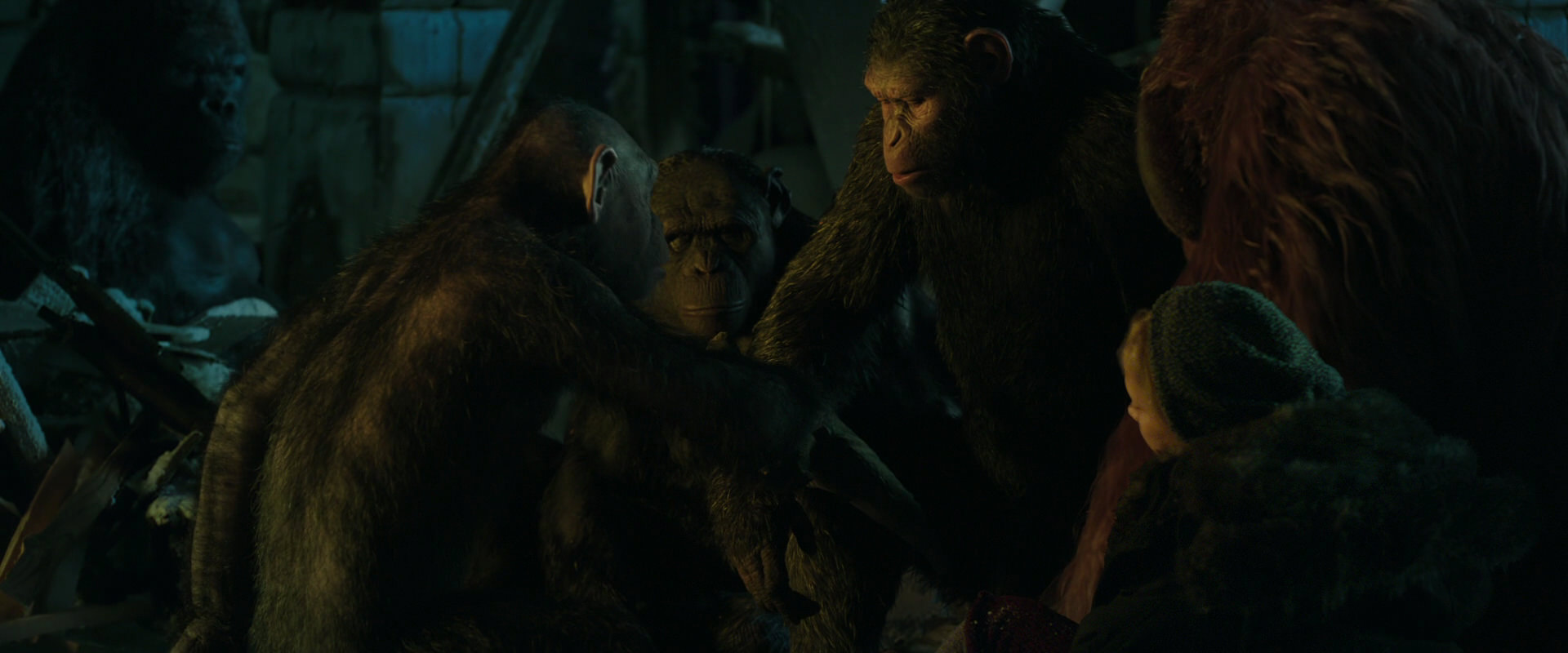 War for the Planet of the Apes (2017) movie still 5569