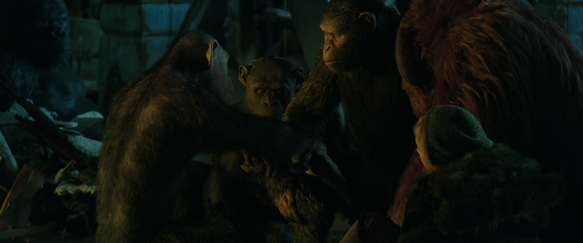 War for the Planet of the Apes (2017) screencap 5571