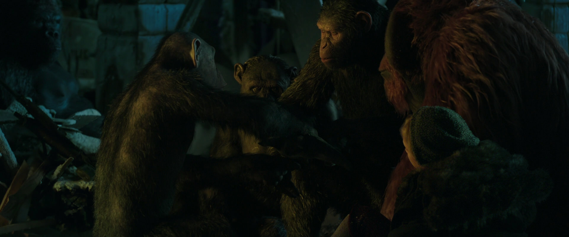 War for the Planet of the Apes (2017) movie still 5572