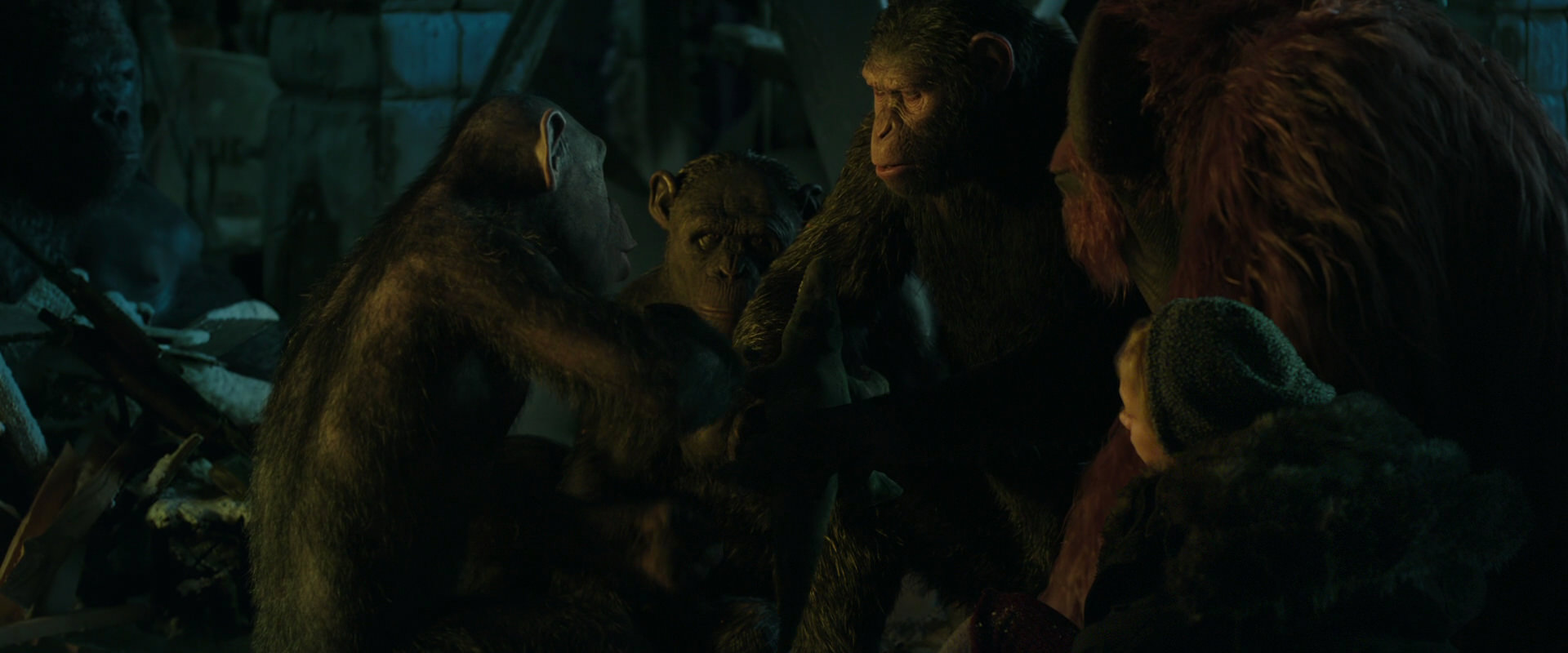 War for the Planet of the Apes (2017) screencap 5574