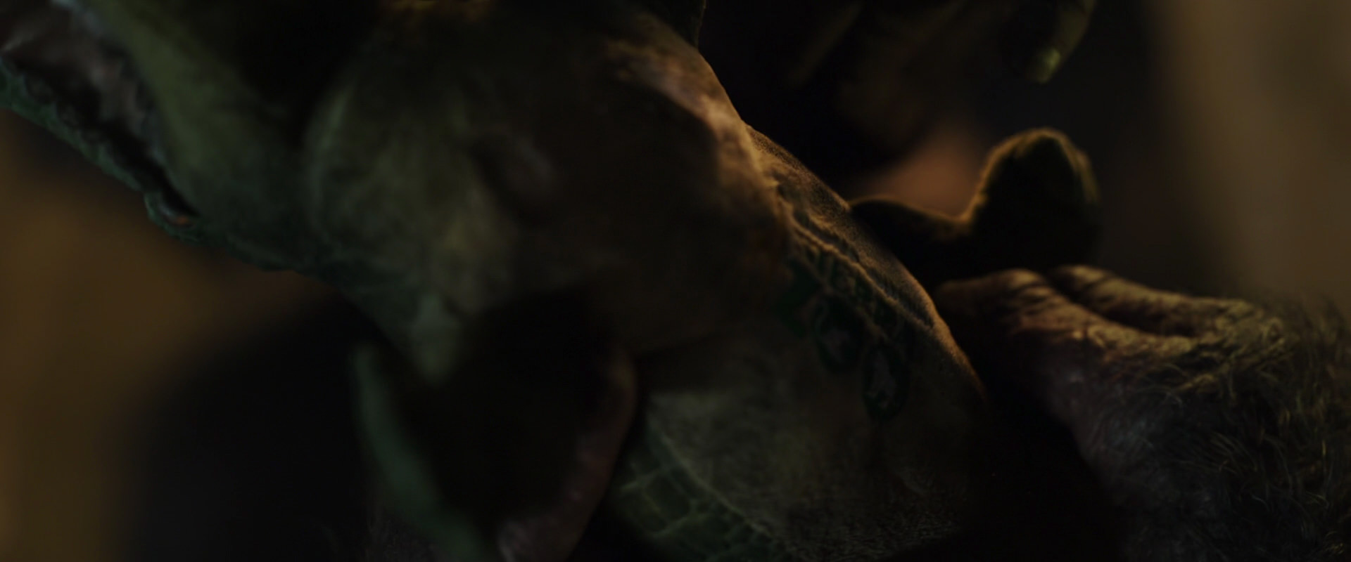 War for the Planet of the Apes (2017) screencap 5577
