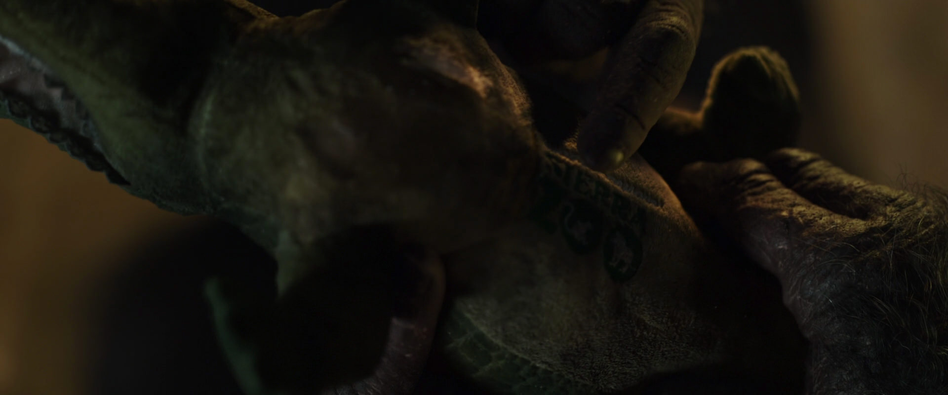 War for the Planet of the Apes (2017) movie still 5578