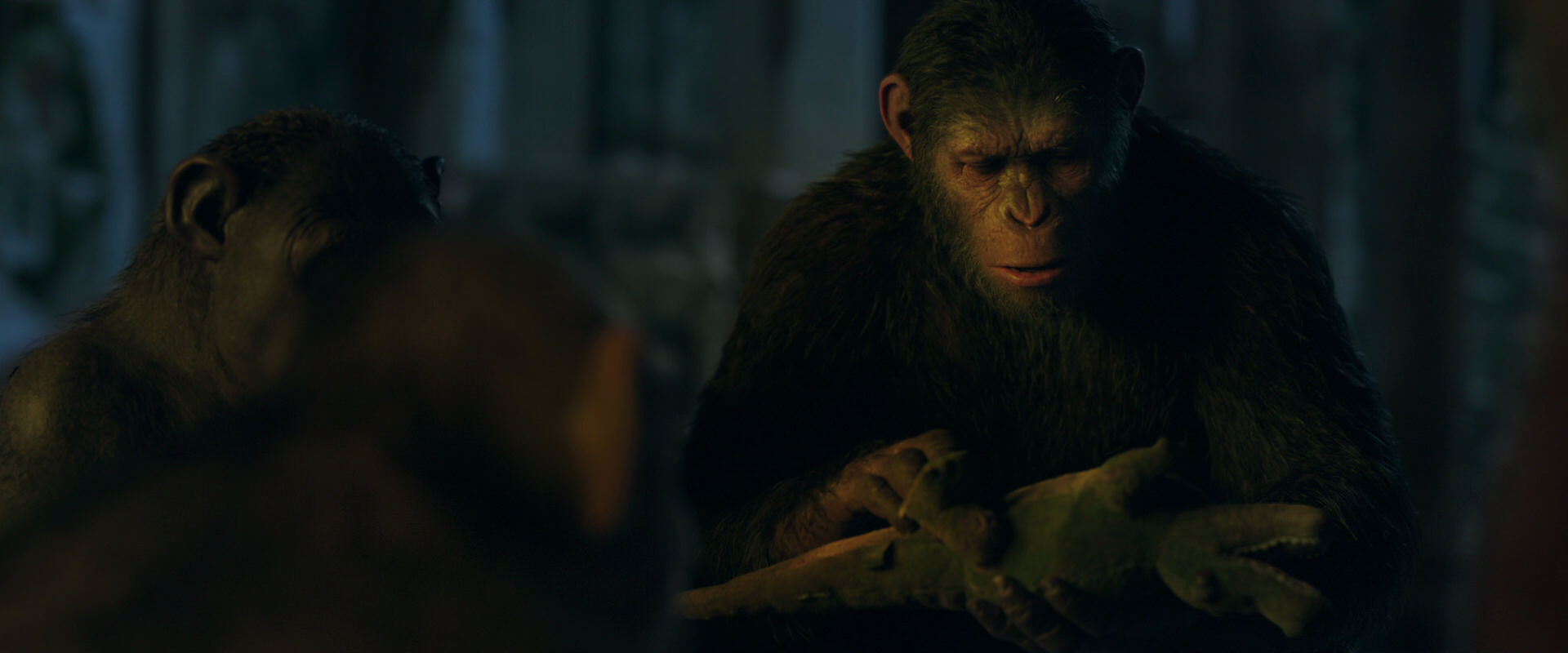 War for the Planet of the Apes (2017) screencap 5583