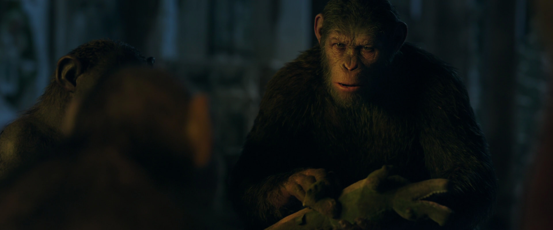 War for the Planet of the Apes (2017) movie still 5587