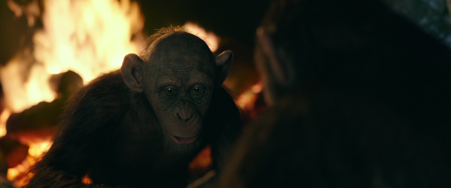 War for the Planet of the Apes (2017) screencap 5595
