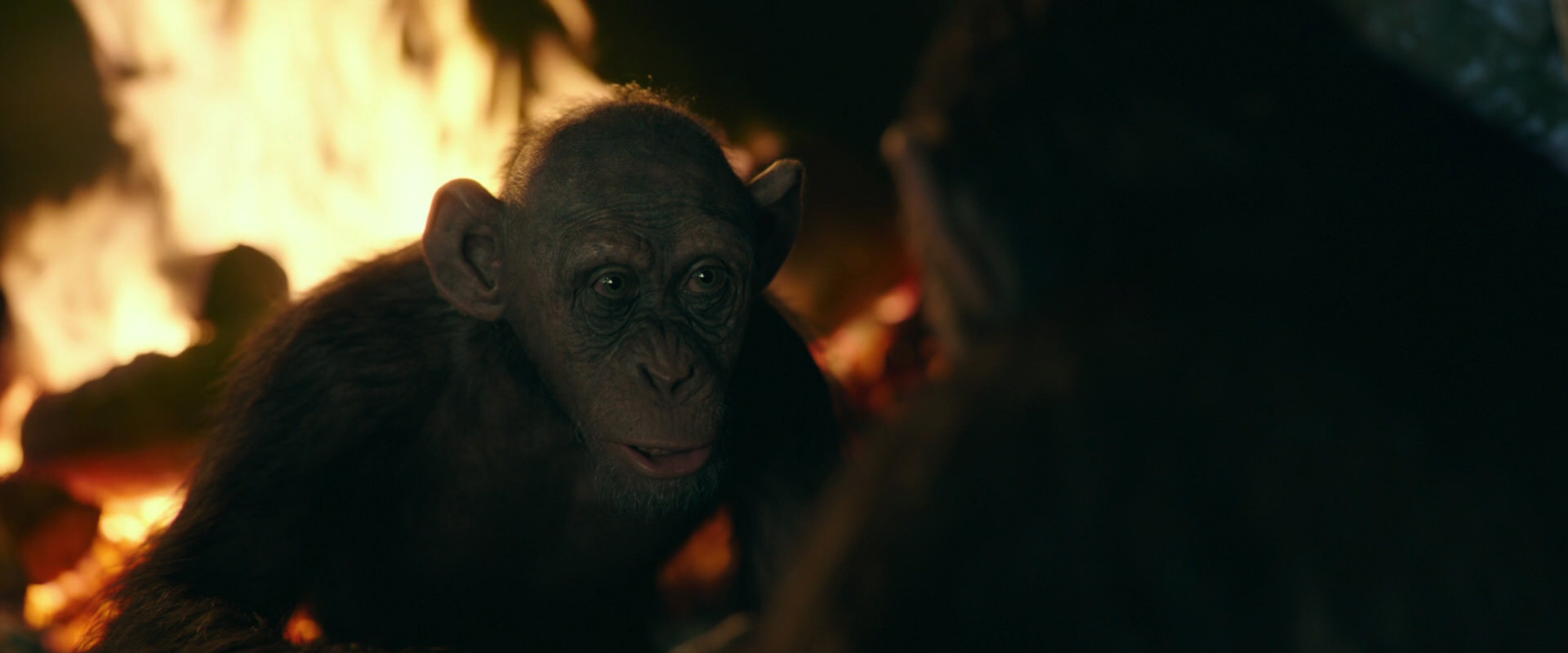 War for the Planet of the Apes (2017) movie still 5596