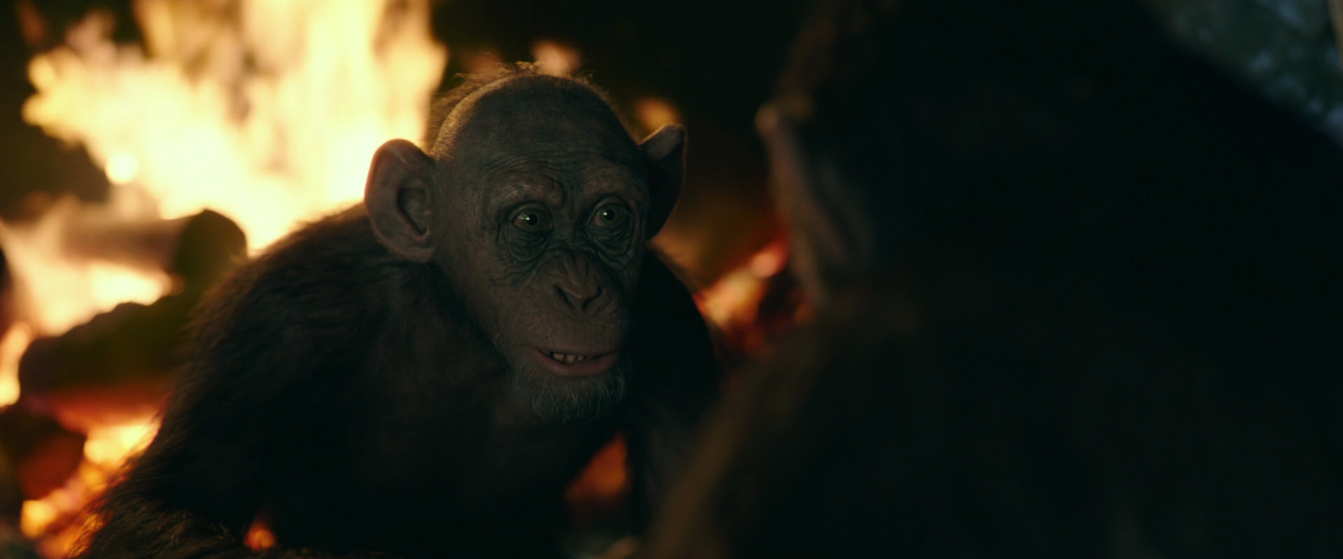 War for the Planet of the Apes (2017) HD screenshot 5597