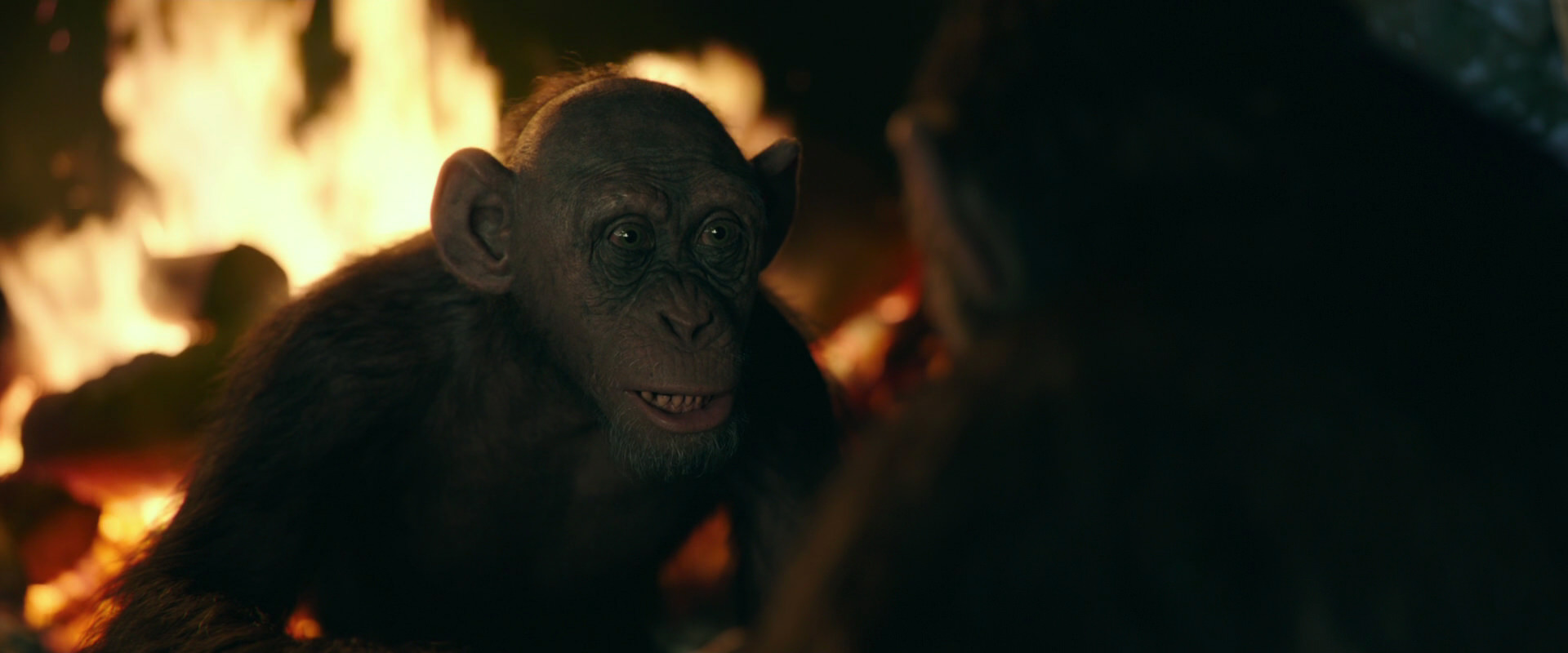 War for the Planet of the Apes (2017) screencap 5598