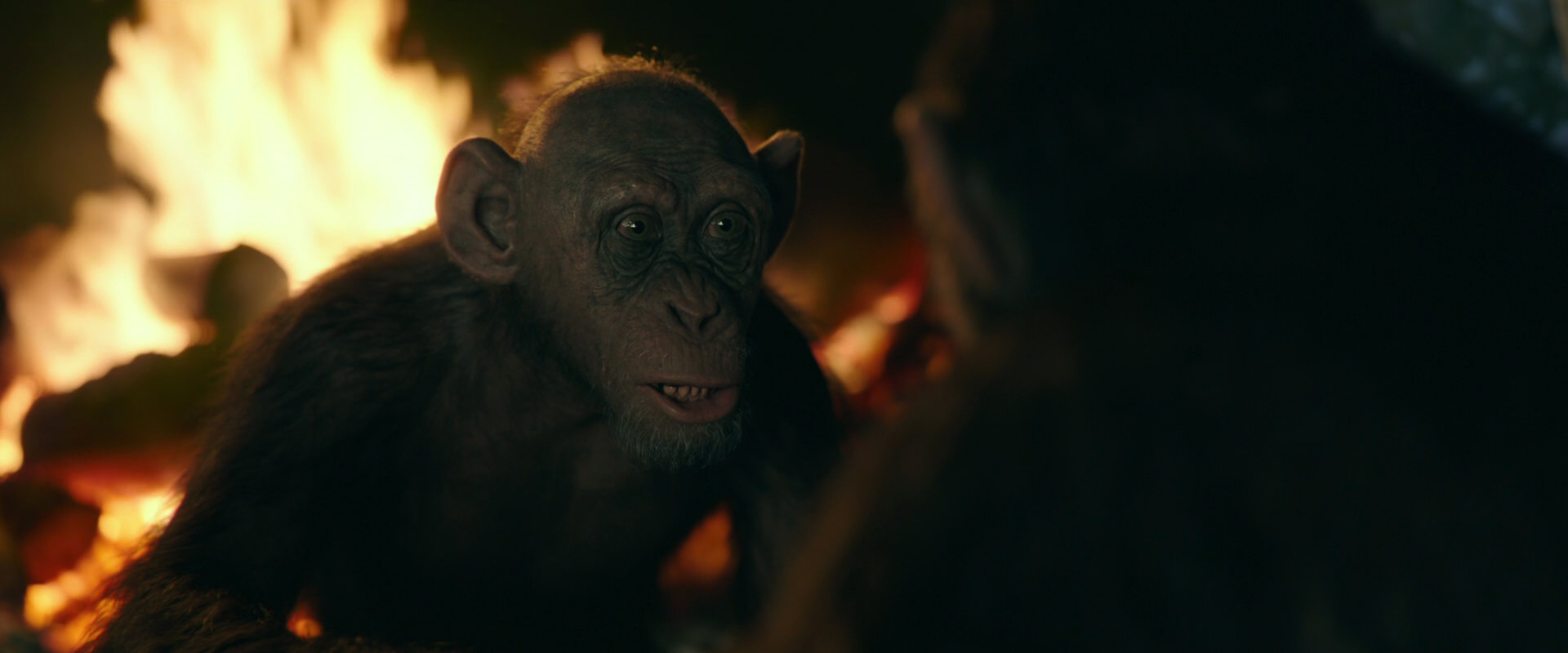 War for the Planet of the Apes (2017) movie still 5599