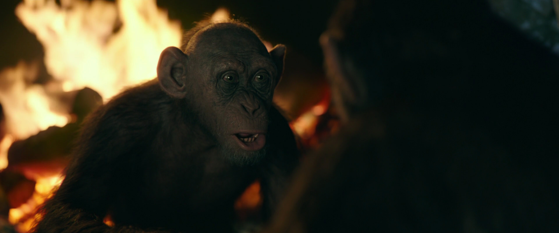 War for the Planet of the Apes (2017) HD screenshot 5600