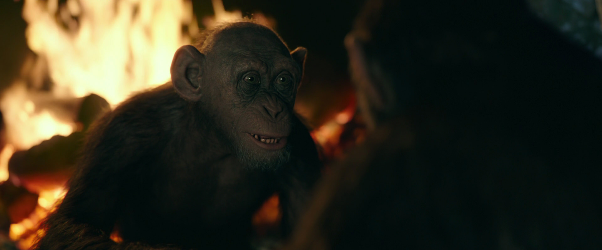 War for the Planet of the Apes (2017) screencap 5601