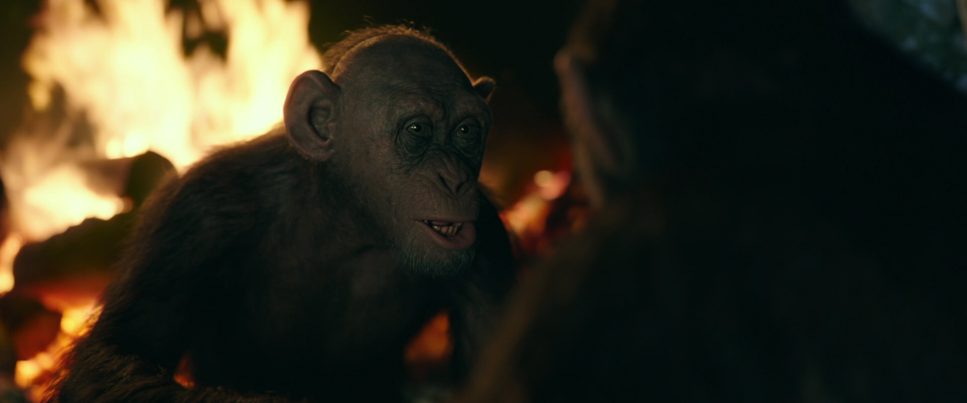 War for the Planet of the Apes (2017) movie still 5602