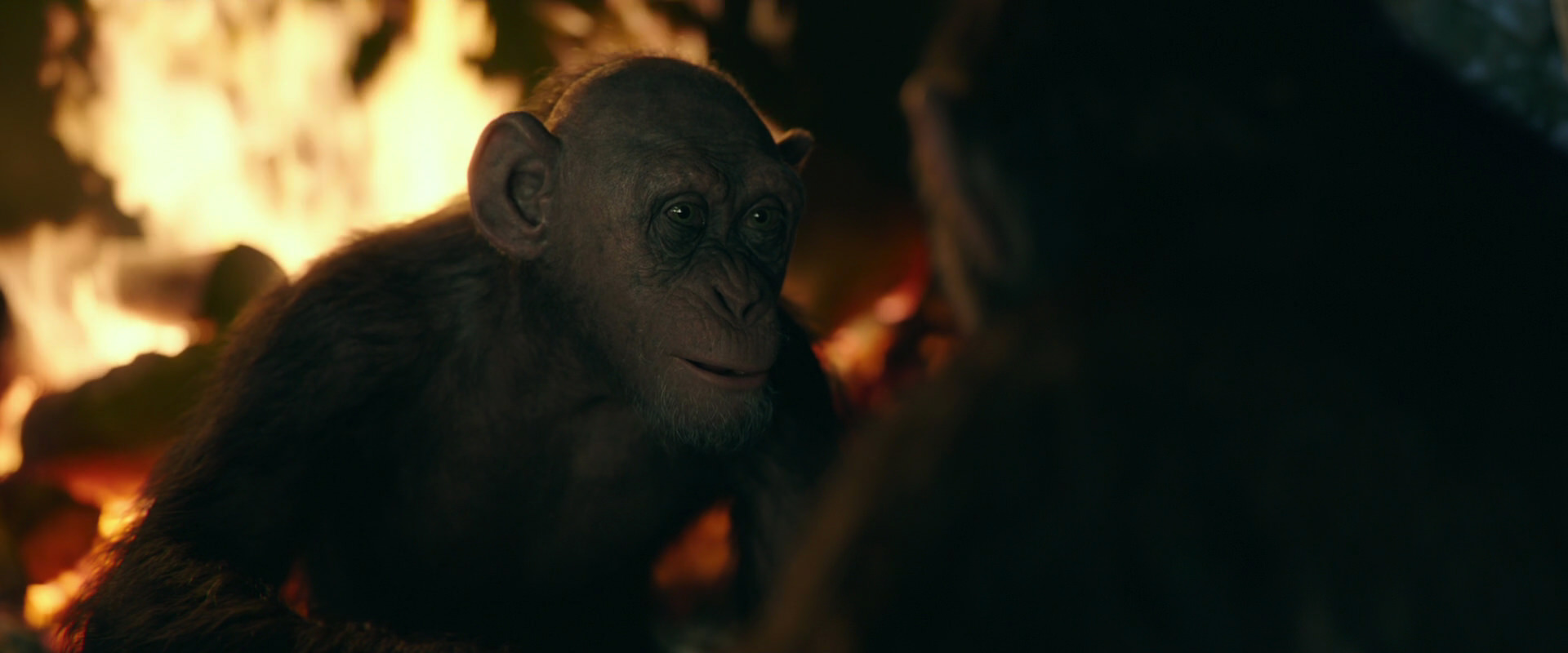 War for the Planet of the Apes (2017) HD screenshot 5603