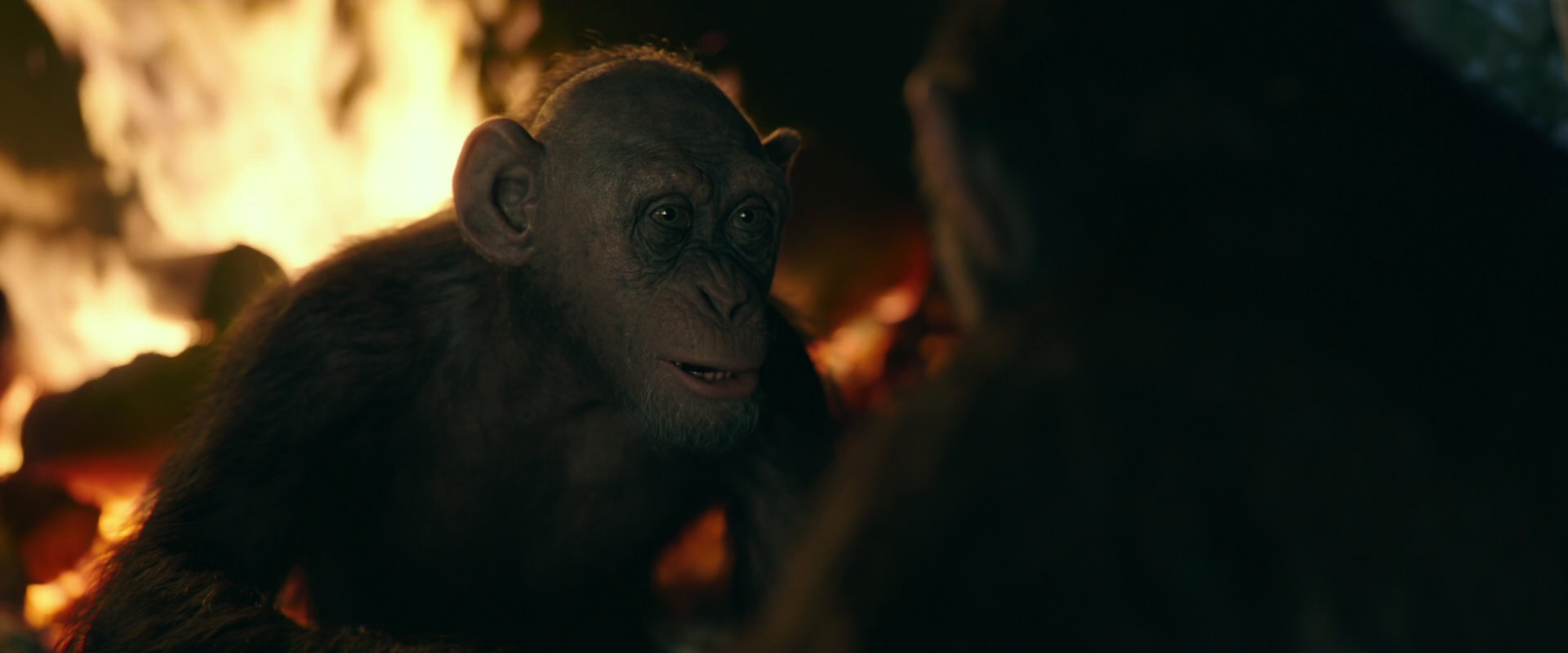 War for the Planet of the Apes (2017) screencap 5604